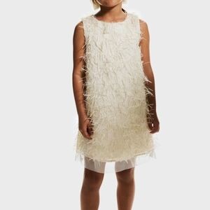 Glittery Fringe Dress